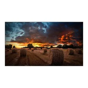 Smart Signage VM55B-U - SAMSUNG