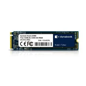 Dynabook Boost AX5600 500GB