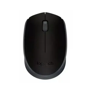 Logitech M 170 Wireless Mouse