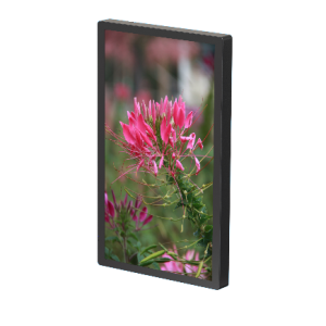 DigiSIGN Lift Display 22 inch with Digisign Play (Non Touchscreen)