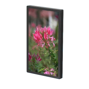 DigiSIGN Lift Display 22 inch with Digisign Play (Non Touchscreen)
