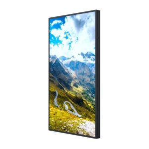 HISENSE WINDOWS FACING 49WF45H