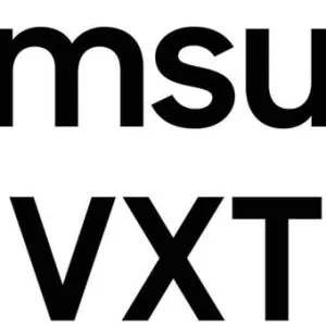 SAMSUNG VX-PSYAT